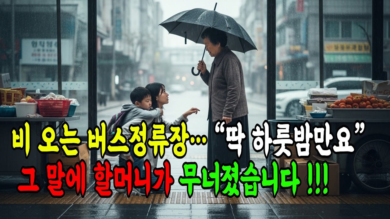 비 오는 버스정류장… “딱 하룻밤만요” 그 말에 할머니가 무너졌습니다 #오디오북 #감동사연