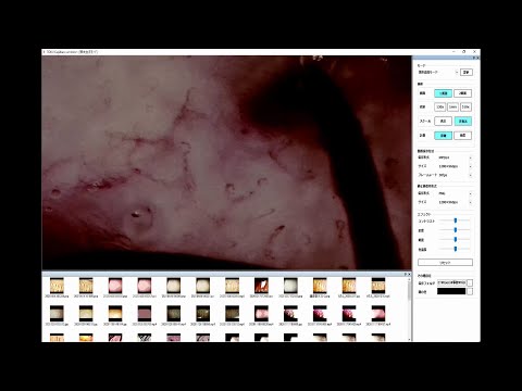 動画