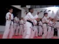 Karate Demo