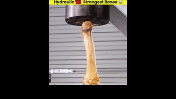 Hydraulic Press Vs Strongest Human Bones☠️ Of Different Countries #shorts#whatif#uniqueexperiement