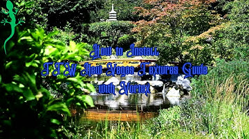 How to Install TTW New Vegas Texture Guide with Vortex (Step by Step)