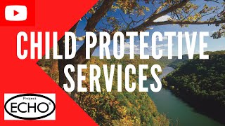 History and Services of RDVIC by Kinsey Wilfong, DV specialist