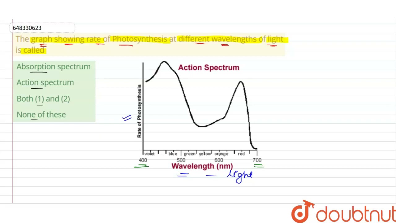 Light Intensity Graph Analysis