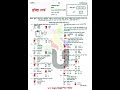 SSC 2026 Cumilla Board Science MCQ Solution | কুমিল্লা বোর্ড বিজ্ঞান প্রশ্ন সমাধান ২০২৬