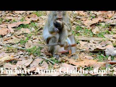 facebook games 2019 Breaking heart!!! Baby eleno got bite from Gladdis, Elsa is quickly take her baby claim on tree