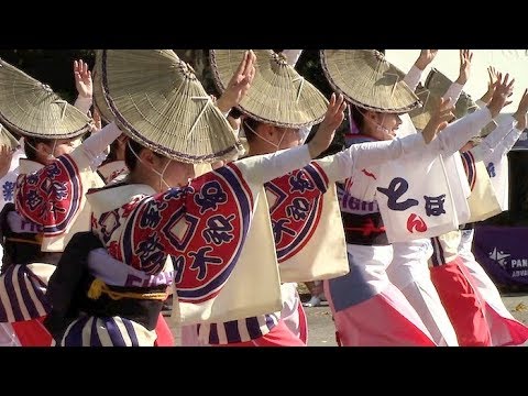 あずま連・新橋連・蜻蛉連　日比谷公園　2017.11.5　大和合同連本番前練習