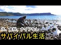 有人島サバイバル生活　石器づくりと火起こし編　野草　巻貝　料理