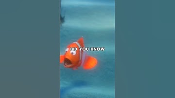Did You Know For FINDING NEMO? #shorts #nemo