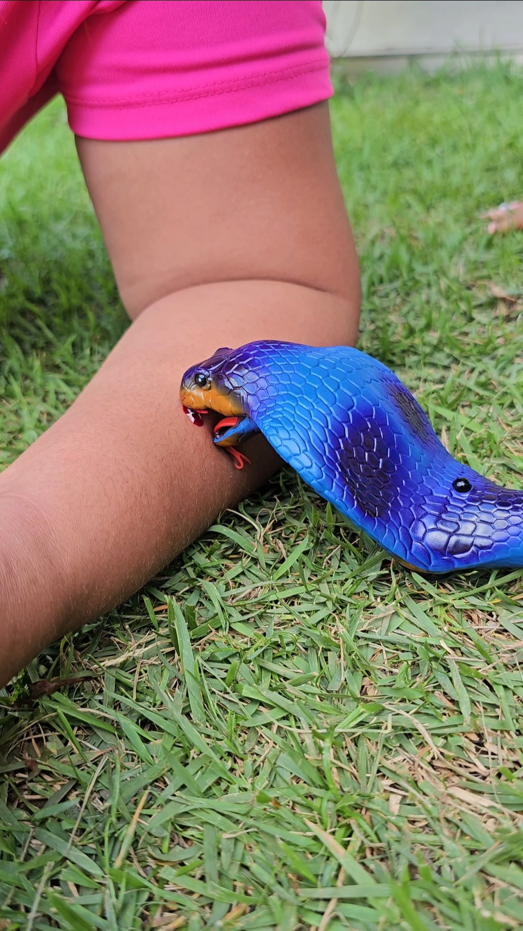 O ataque da Naja Azul??