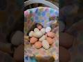 Egg Collection from 5 Hens #backyardchickens #chickencoop #collectingeggs