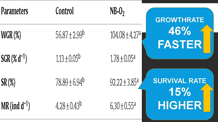 Oxygen Nanobubbles for Kuruma Prawn culturing model in RAS