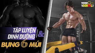 THOL School -  Tập luyện và dinh dưỡng giúp bụng 6 múi hấp dẫn người yêu, sex khoẻ