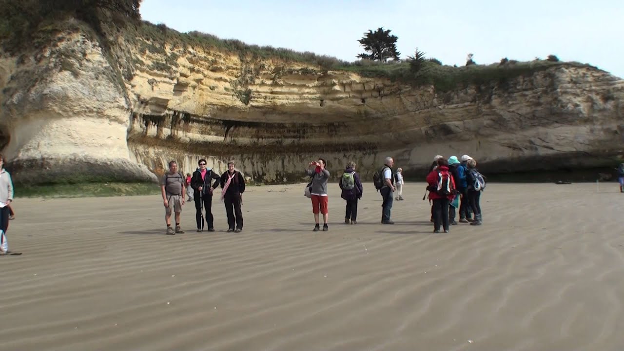 Les conches de Meschers-sur-Gironde