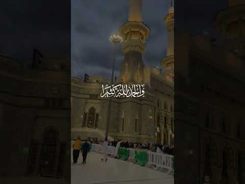 ١٩ مايو، ٢٠٢٦