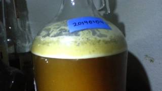 Day Three of Fermentation