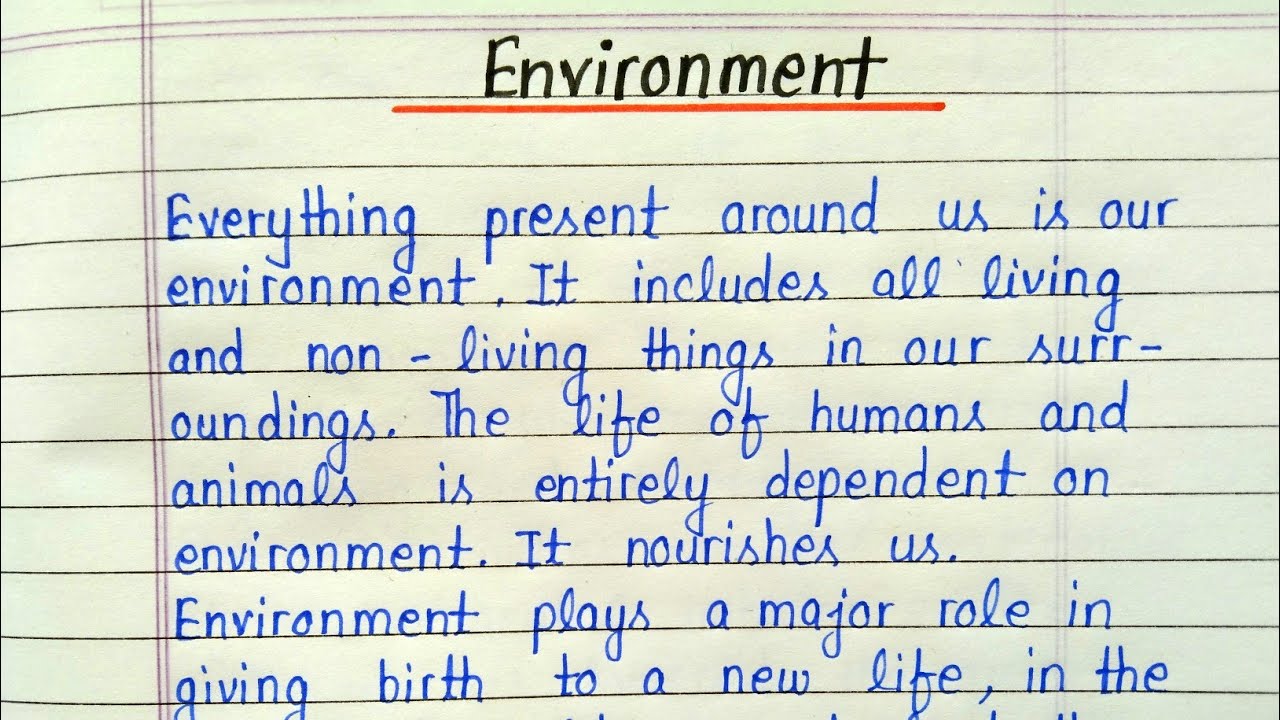 write essay environment