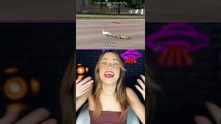 Pessoas Que Escaparam Da Morte