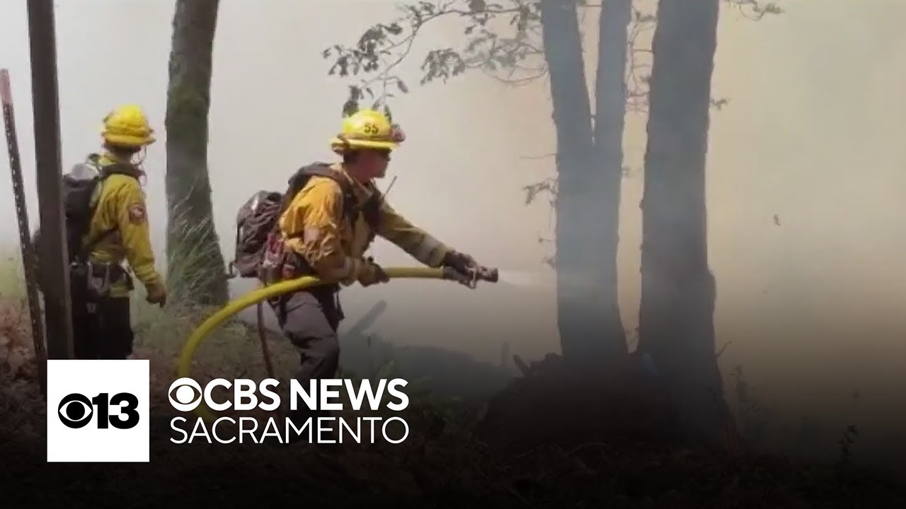 New study finds odds of dementia diagnosis increased by wildfire smoke ...