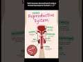 🔥 “Reproductive System in 30 Sec! 🧬⚡”#viral#trending#biology#shorts#science#BiologyShorts#studytips