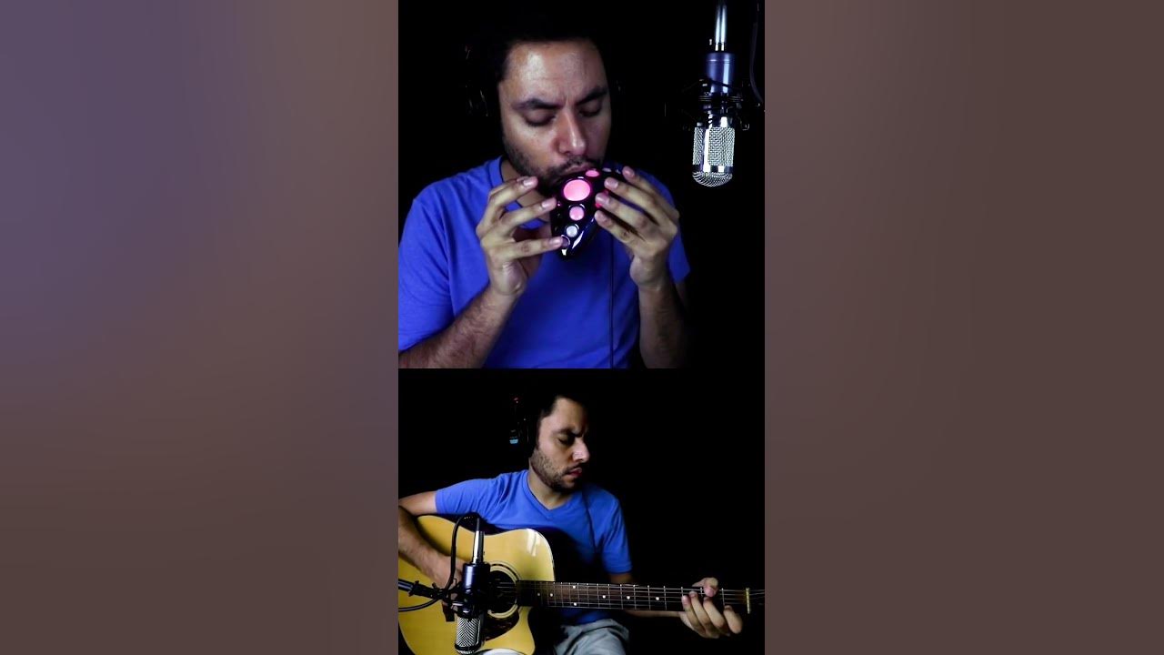 The Legend of Zelda Theme (ft. The Ocarina of Light)
