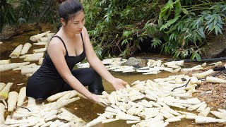 Harvest and preserve bamboo shoots, then sell them at the market, triệu lily