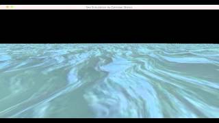 Gerstner Wave.mp4