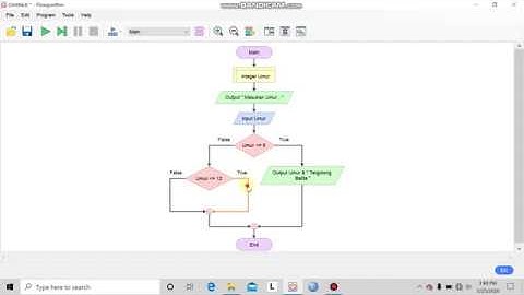 Pemrogaman Komputer dengan Aplikasi Flowgorithm ( If - Then Conditional Selection )