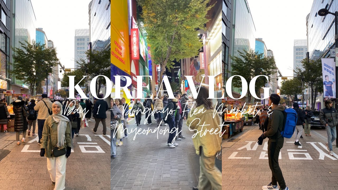 KOREA VLOG DAY 1 Dongmyo Flea Market Myeondong Street YouTube korea-vlog-day-1-dongmyo-flea-market-myeondong-street-youtube