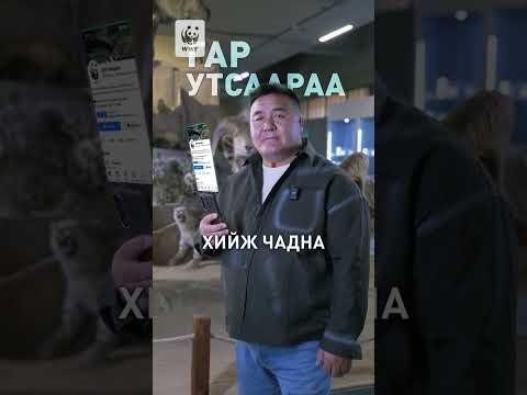 Ирвэсийг хамгаалах үйлсэд нэгдэцгээе