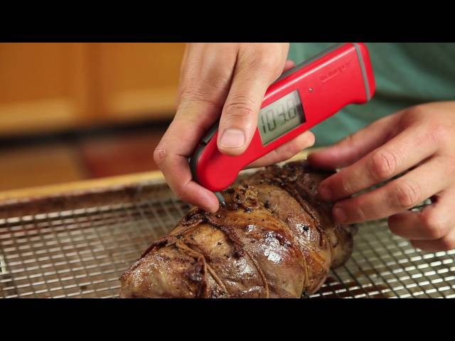Using a Meat Thermometer, Illinois Extension
