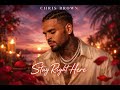 Chris Brown Stay Right Here