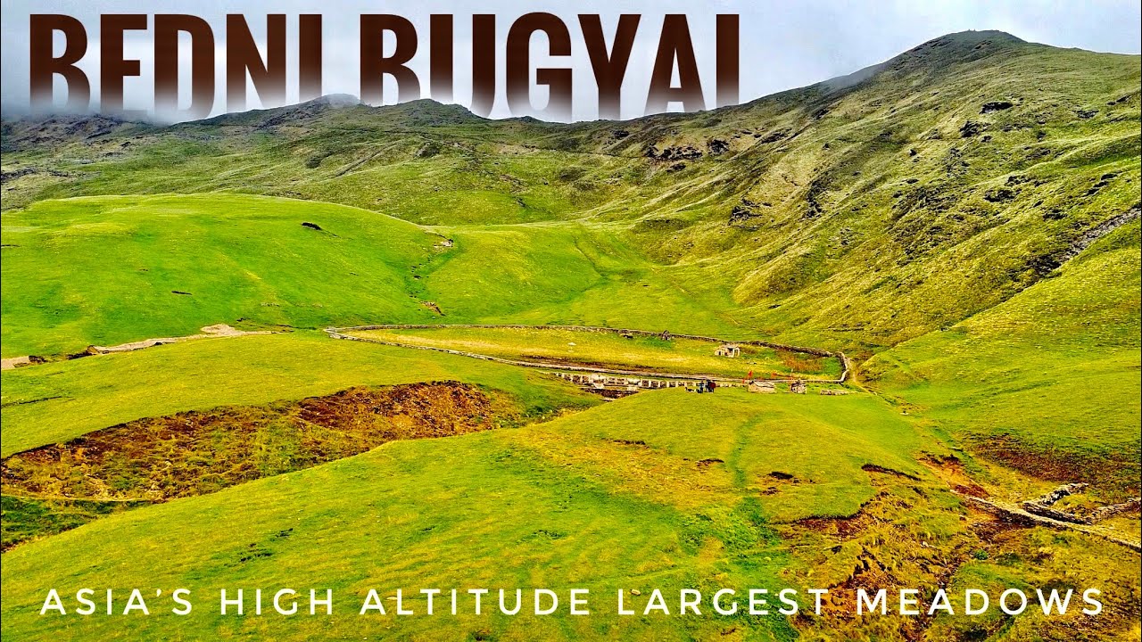 Bedni Bugyal | Ali Bedni Bugyal | Asia’s High Altitude Largest Meadows