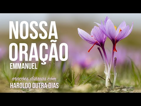 ORAÇÃO NOSSA - Haroldo Dutra Dias - EMMANUEL - Chico Xavier - Orações Diárias