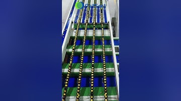 Jujube sorting machine; Dates sorting line; Dates grading machines