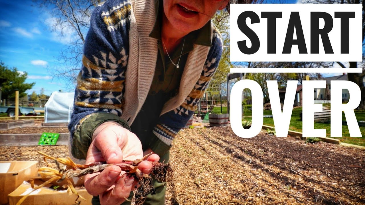 My Onions Rotted | Learning & Growing in the Garden