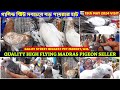 Quality High Flying Madras Pigeon Seller | সবচেয়ে বড় পায়রার হাট | Galiff Street Market | 19/05/24