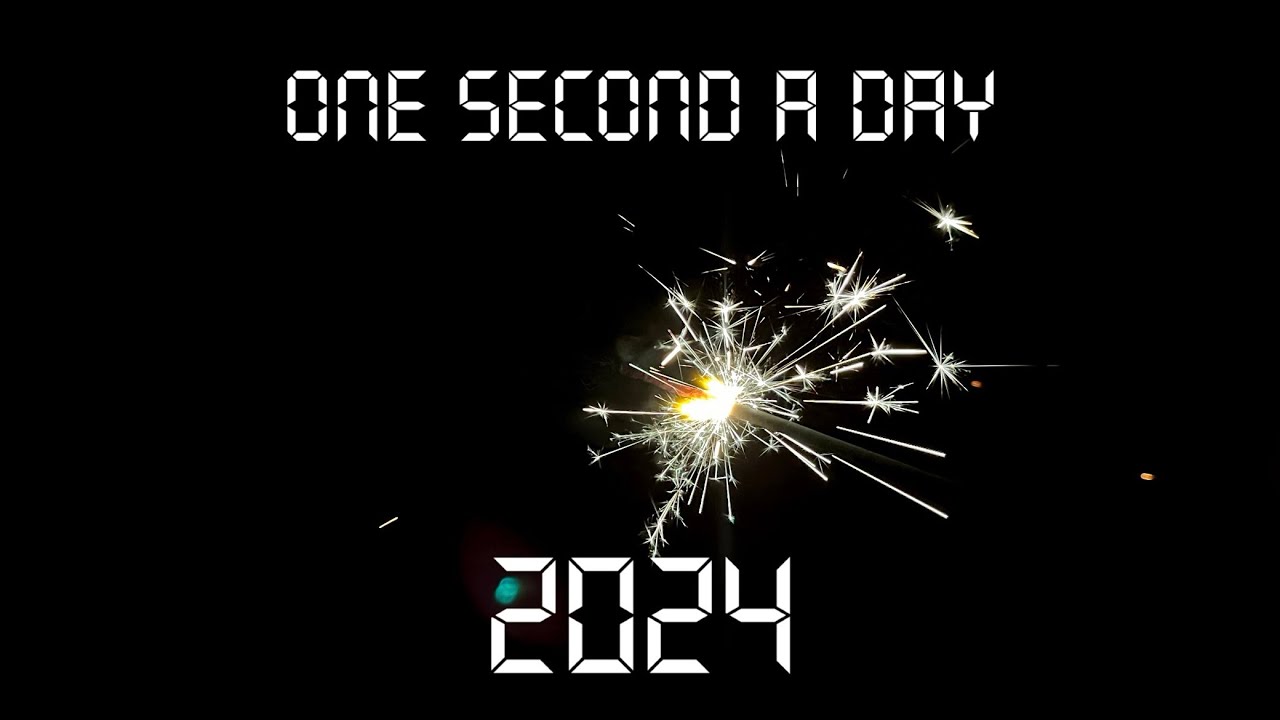 1 second a day | my 2024 in 366 seconds - YouTube