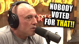 All Hell Breaks Loose As Joe Rogan Slams Trump ICE Raids