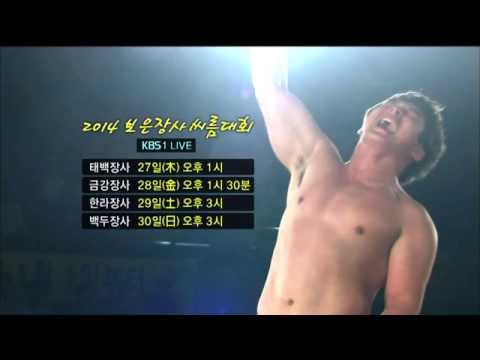 2014 보은장사씨름대회