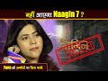 Naagin 7 को लेकर आई Shocking खबर, जनता को नहीं होगा Naagin 7 का दीदार?