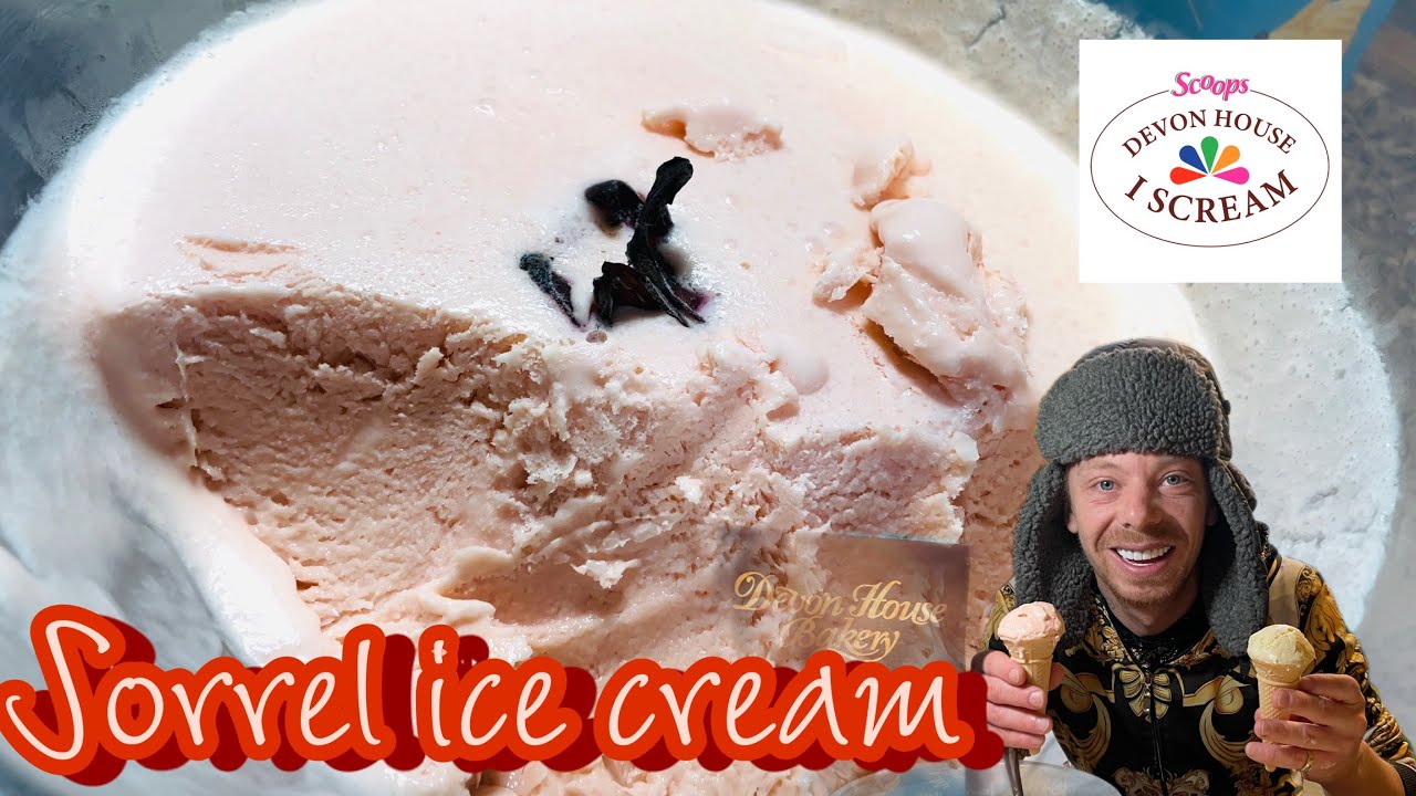 SORREL HOMEMADE ICE CREAM (EASY RECIPE ) / DEVON HOUSE CHRISTMAS ...