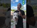 ➡️ Você sabe como agir se um pet ficar preso em uma grade? Confira uma dica que pode ajudar muito.