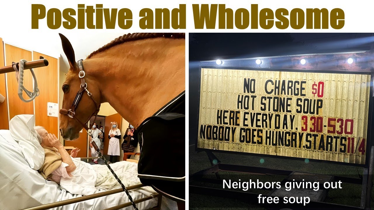 Positive And Wholesome Moments That Will Give You An Instant Serotonin Boost