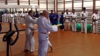 Gukovskaya Anastasiya 13 years Judo