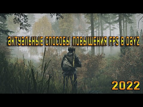 Актуальные способы повышения FPS в игре DayZ. 2022.