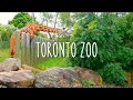 The largest zoo in canada  toronto zoo 2022 complete tour