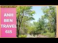 Anh Ben Travel Số 615 - Con Đường Rợp Bóng Cây Xanh Ở Hàn Quốc