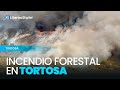 Un incendio forestal en Tortosa afecta unas 15 hectáreas