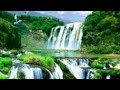 reggae remix 2022 mc lipe melo de so gratidão