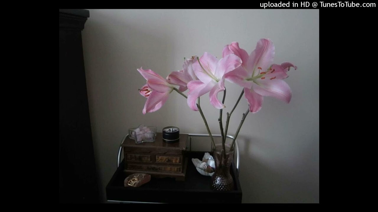 [FREE] prettifun funhouse deluxe type beat - home